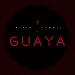 guaya - wisin & yandel