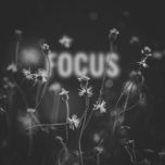 focus - deorro, lena leon