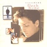 what's the story - richard marx