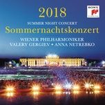 gianni schicchi: o mio babbino caro - valery gergiev, wiener philharmoniker, anna netrebko, giacomo puccini