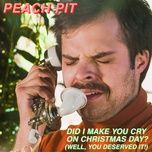 did i make you cry on christmas day? (well, you deserved it!) - peach pit