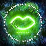 everybody needs a kiss (havoc & lawn remix) - benny benassi, sofi tukker