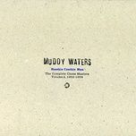 i got to find my baby - muddy waters