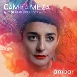 all your colors - camila meza, the nectar orchestra