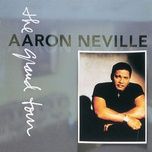 you never can tell - aaron neville