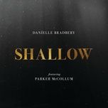 shallow - danielle bradbery, parker mccollum