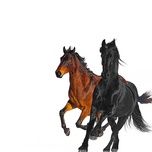 old town road (remix) - lil nas x, billy ray cyrus