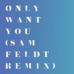 only want you (sam feldt remix) - rita ora