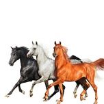old town road (diplo remix) - lil nas x, billy ray cyrus, diplo