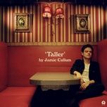 taller - jamie cullum