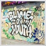 blame it on my youth - blink-182