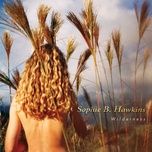 adrian - sophie b hawkins