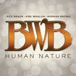 man in the mirror - bwb, rick braun, kirk whalum, norman brown