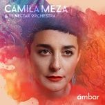 kallfu - camila meza, the nectar orchestra