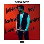 when you know what love is - craig david