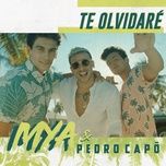 te olvidare - mya, pedro capo