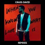 when you know what love is (alex adair remix) - craig david