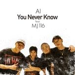 you never know - ai, mj116