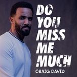 do you miss me much - craig david