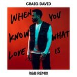 when you know what love is (r&b remix) - craig david