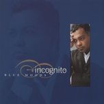 journey into sunlight - incognito