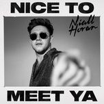 nice to meet ya - niall horan