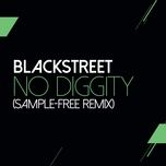 no diggity (sam wilkes & brian green sample free remix) - blackstreet, dr. dre, queen pen