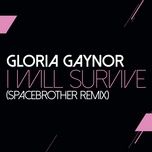 i will survive (spacedbrother remix) - gloria gaynor