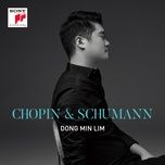 kinderszenen, op.15 - ix. ritter vom steckenpferd - dong-min lim, robert schumann