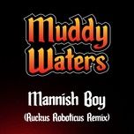 mannish boy (ruckus roboticus remix) - muddy waters