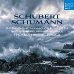 missa sacra in c minor, op. 147: vi. agnus dei. ziemlich langsam - thomas hengelbrock, robert schumann, balthasar-neumann-ensemble, balthasar-neumann-chor