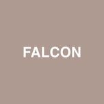 falcon - jaden, raury