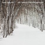 all i want (for christmas) - liam payne