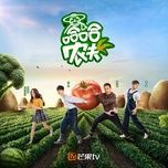 nong dan haha / 哈哈农夫 - vuong nguyen (roy wang), gia nai luong, duong sieu viet (yang chao due), kim han (jin han)