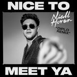 nice to meet ya (diplo remix) - niall horan, diplo