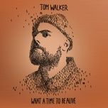 walk alone - rudimental, tom walker