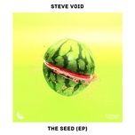 ain’t got you - steve void, louisa johnson