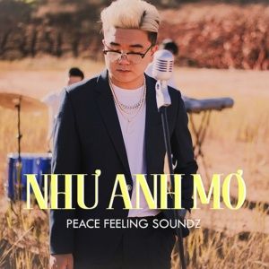 Tải bài hát Như Anh Mơ MP3 miễn phí về máy