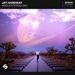 vibes (extended mix) - jay hardway