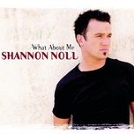 the way that i feel (single version) - shannon noll