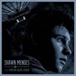 stitches - shawn mendes