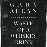 waste of a whiskey drink - gary allan