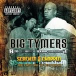 down south - big tymers, lil wayne, jazze pha, ludacris