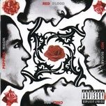 the power of equality - red hot chili peppers