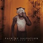 restless boy - pain of salvation