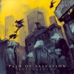 accelerator - pain of salvation