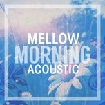 rolling stone (acoustic) - passenger