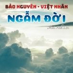 ngam doi - bao nguyen, viet nhan