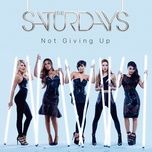 not giving up - the saturdays