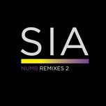 numb (tom middleton cosmos mix) - sia